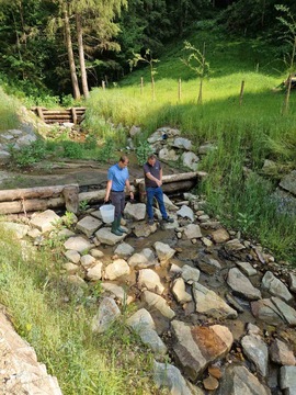 Photo 11. 6. 25, 10 06 02 (34)